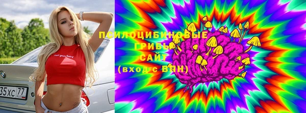 тгк Арсеньев