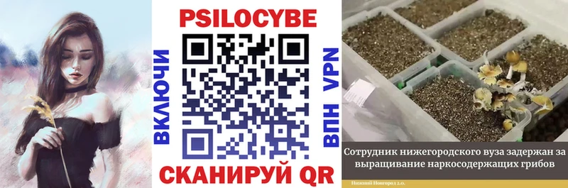 Псилоцибиновые грибы мухоморы  Ростов 
