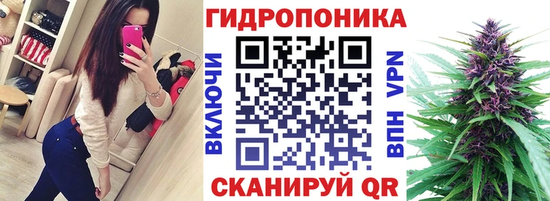 Бошки марихуана марихуана  Ростов 